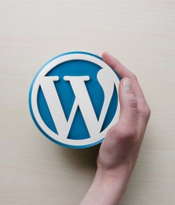 Transferir el Dominio en usuarios en WordPress