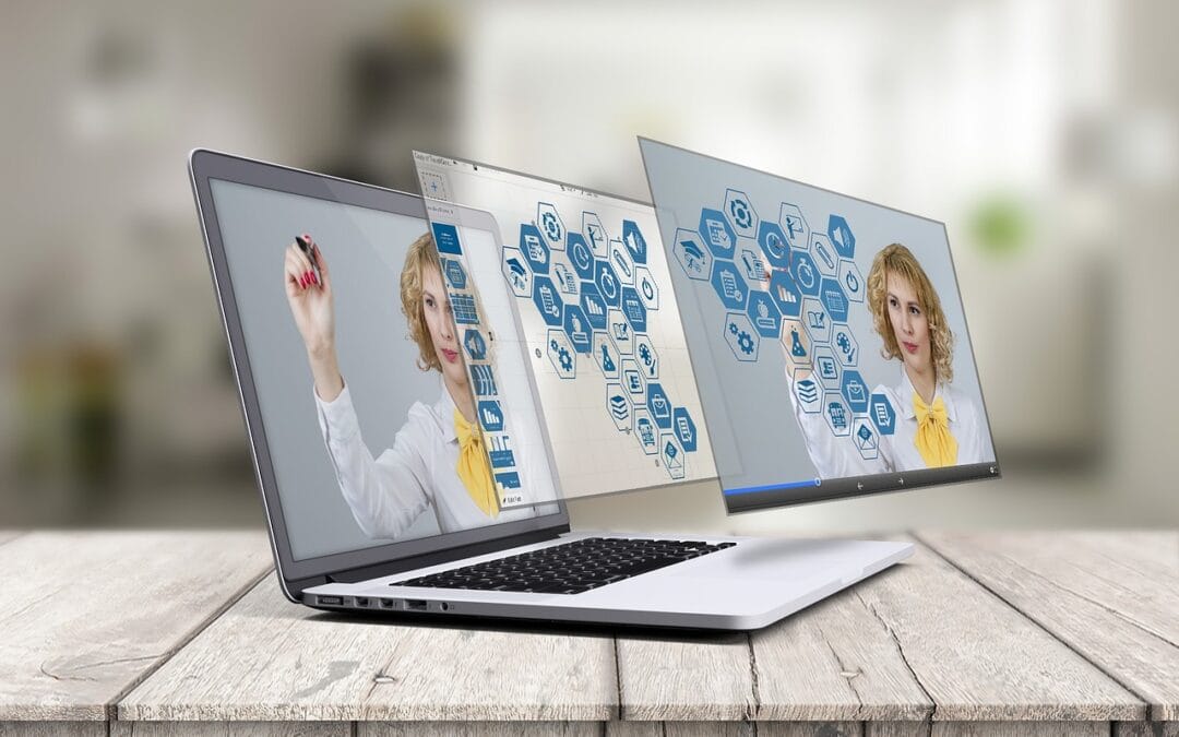 Categorías y Etiquetas en el Sitio Web