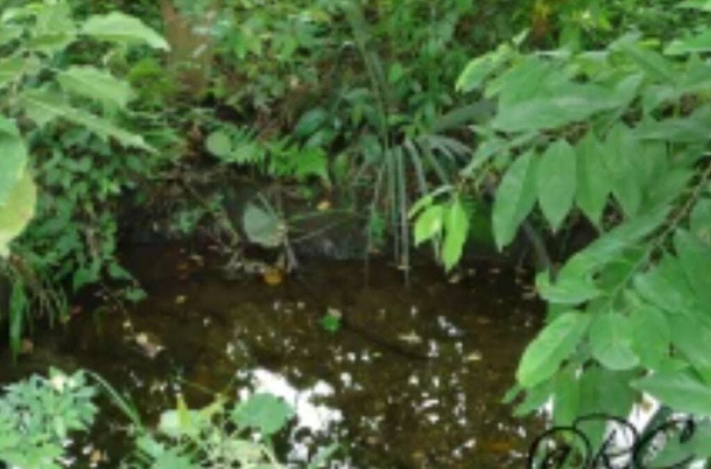 Mira el charco, moja los pies, y pásalo