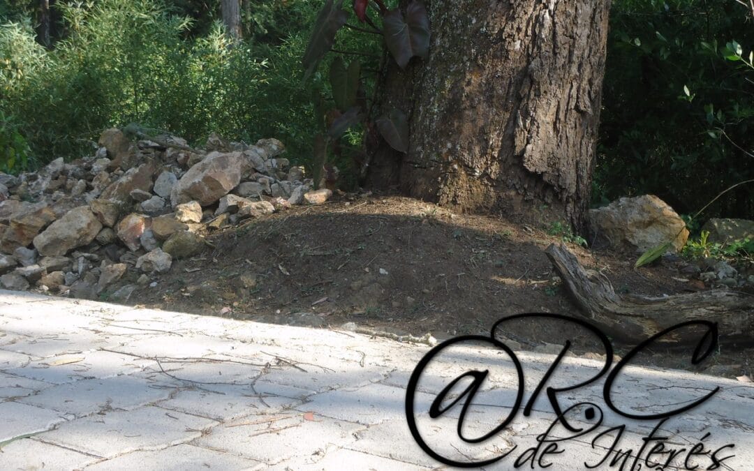Nada como caminar con una piedra en el zapato