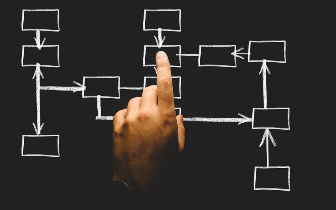 Principios de la Organización