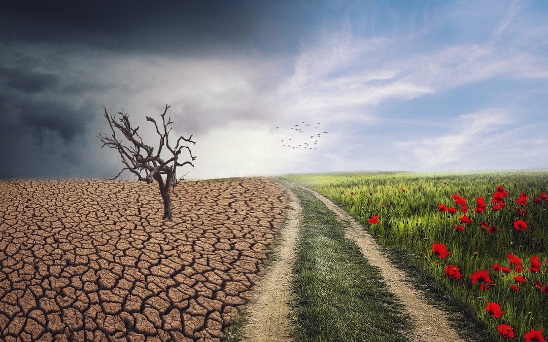 Nuestro clima cada vez es más extremo