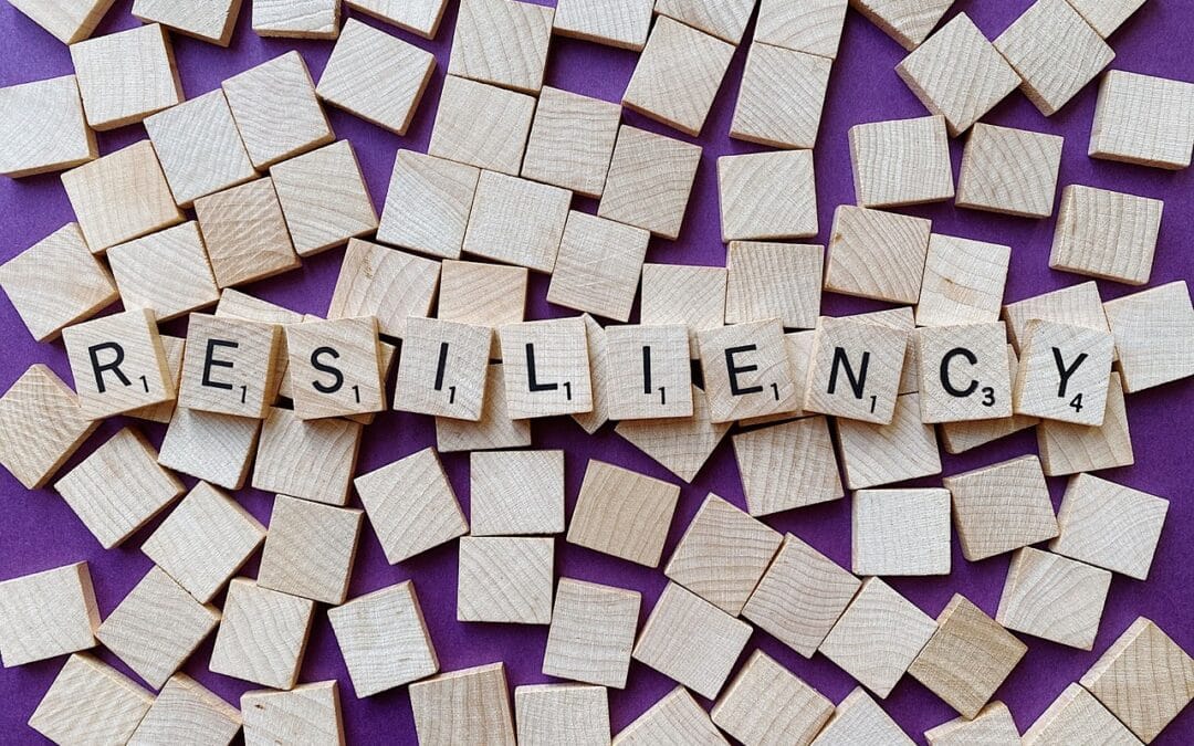 La Resiliencia: Superar Obstáculos